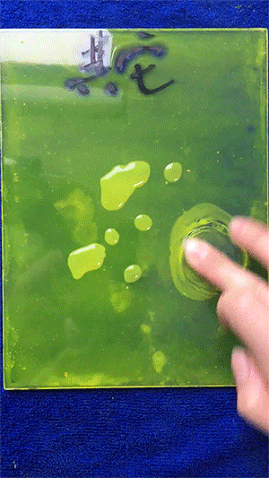 1.gif